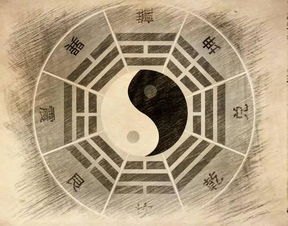 如何根据生辰八字选手机号码:生辰八字与手机号码的五行平衡,科学搭配助力运势提升 如何根据生辰八字选手机号码:生辰八字与手机号码的五行平衡,科学搭配助力运势提升