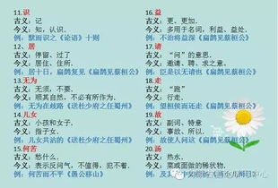 十二星座语文成绩排名:十二星座语文成绩排行榜,从阅读困难户到考场文豪的星座逆袭指南