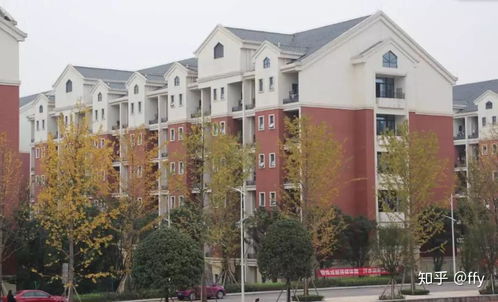 重庆工商大学(重庆工商大学就业网)
