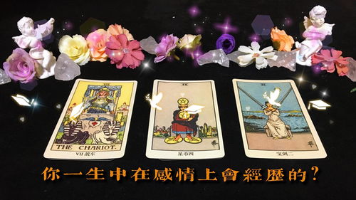 alani 塔罗牌:alani与塔罗牌,神秘力量与心灵探索的奇妙旅程 alani 塔罗牌:alani与塔罗牌,神秘力量与心灵探索的奇妙旅程