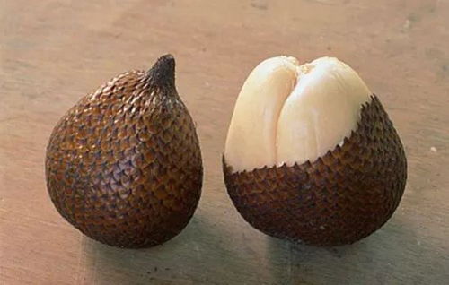 黄姜的功效与作用及食用方法:黄姜,被低估的养生宝物 黄姜的功效与作用及食用方法:黄姜,被低估的养生宝物