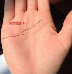舒氏手相怎么看姻缘:舒氏手相怎么看姻缘?这些细节决定你的感情走向! 舒氏手相怎么看姻缘:舒氏手相怎么看姻缘?这些细节决定你的感情走向!