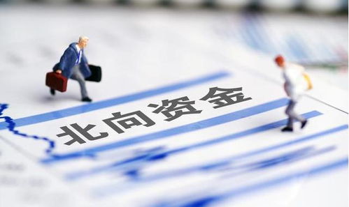 27只科创板股获融资净买入超5000万元 27只科创板股获融资净买入超5000万元