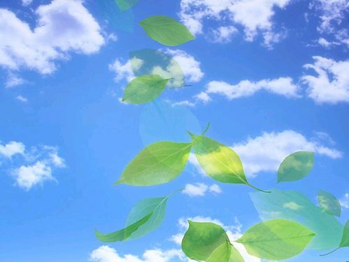 梦到前任周公解梦:梦到前任,周公解梦,那些藏在梦里的未解之结