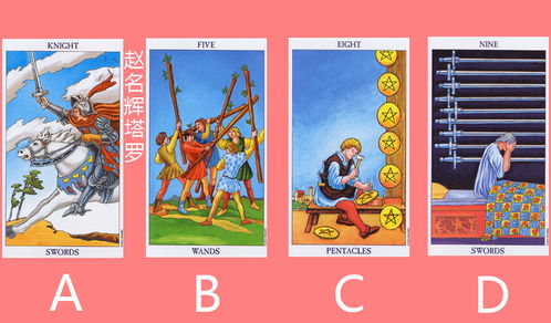 学历塔罗牌：学历塔罗牌，揭示你的学业之路