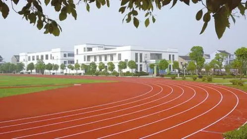 北京学校复课(北京学校复课标准最新) 北京学校复课(北京学校复课标准最新)