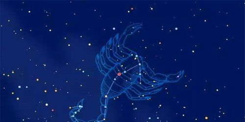 12月19日星座是什么星座:12月19日射手座运势全解析,自由灵魂的冒险与机遇时刻