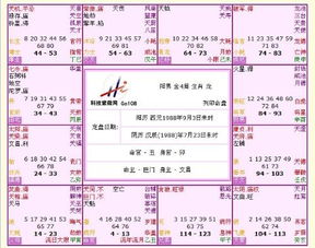 紫薇命盘详解与分析免费:紫薇命盘详解与分析全攻略,免费入门指南(附工具与案例) 紫薇命盘详解与分析免费:紫薇命盘详解与分析全攻略,免费入门指南(附工具与案例)