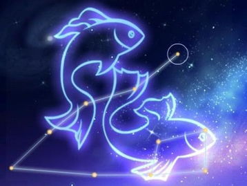 双鱼座今日运势美国:双鱼座今日运势(美国时区)水象星座如何把握职场灵感与情感平衡 双鱼座今日运势美国:双鱼座今日运势(美国时区)水象星座如何把握职场灵感与情感平衡