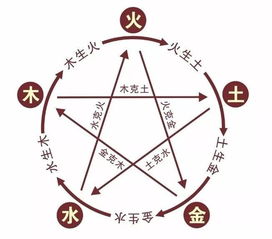 1988年五行属土还是木:1988年五行属土还是木?天干地支与节气更迭的科学解析 1988年五行属土还是木:1988年五行属土还是木?天干地支与节气更迭的科学解析
