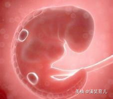 着床有什么感觉和症状:着床到底有什么感觉和症状? 着床有什么感觉和症状:着床到底有什么感觉和症状?