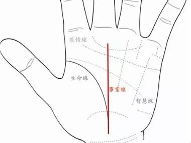 女生手相图解大全:女生手相图解大全,从掌纹到命运的科学解读与实用指南 女生手相图解大全:女生手相图解大全,从掌纹到命运的科学解读与实用指南