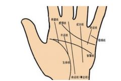 女生手相图解大全:女生手相图解大全,从掌纹到命运的科学解读与实用指南 女生手相图解大全:女生手相图解大全,从掌纹到命运的科学解读与实用指南