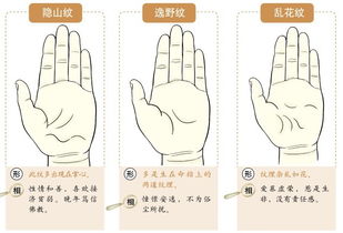 女生手相图解大全:女生手相图解大全,从掌纹到命运的科学解读与实用指南 女生手相图解大全:女生手相图解大全,从掌纹到命运的科学解读与实用指南