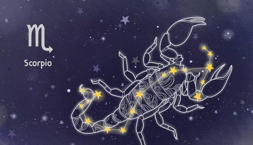 2025年天蝎座每月运势:2025年天蝎座每月运势揭秘,命运之轮转动,暗夜守护者迎来全新篇章! 2025年天蝎座每月运势:2025年天蝎座每月运势揭秘,命运之轮转动,暗夜守护者迎来全新篇章!