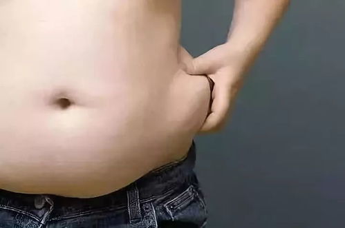 怎么能瘦肚子和腰上的赘肉:怎么能瘦肚子和腰上的赘肉?科学减脂的全面指南 怎么能瘦肚子和腰上的赘肉:怎么能瘦肚子和腰上的赘肉?科学减脂的全面指南