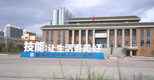 新疆排名第一的大专(新疆公办大专学校有哪些)