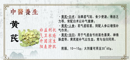 中医养生免费课程:免费中医养生课程来袭!零基础也能轻松掌握健康养生秘诀