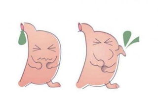 化疗后最忌四种食物:化疗后最忌四种食物,这些细节要注意!