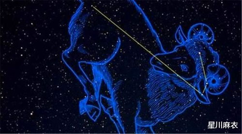 7月份出生的是什么星座：7月诞生的你是什么星座？巨蟹座与狮子座的性格解析