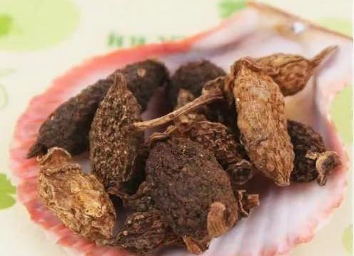 川乌草乌泡酒擦治风湿:川乌草乌泡酒擦治风湿,传统偏方的正确使用与禁忌