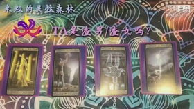 塔罗牌horus:塔罗牌中的Horus,神秘象征与灵性启示