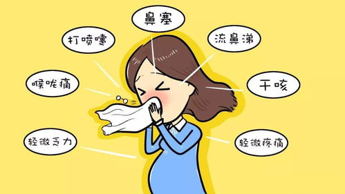 甲流属于风寒还是风热:甲流是风寒还是风热?中医角度解析流感的归类与治疗