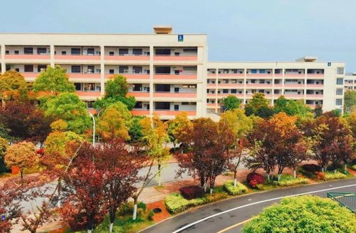长沙工业学院2025录取（长沙工业学院学费）
