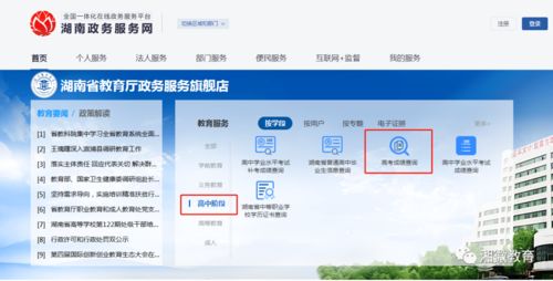 教务信息学生平台登录（教务信息学生平台登录沈阳大学）