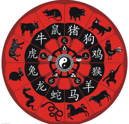生肖龙与生肖羊结婚吉日:生肖龙与生肖羊结婚吉日指南