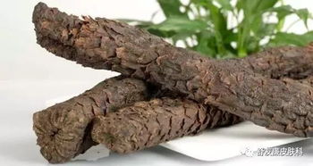 肉苁蓉能增加硬度吗:肉苁蓉能增加硬度吗?传统草药的壮阳真相 肉苁蓉能增加硬度吗:肉苁蓉能增加硬度吗?传统草药的壮阳真相