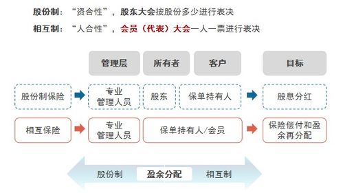 女生停止长高的明显标志:女生停止长高的最终标志,这些明确信号请留意!
