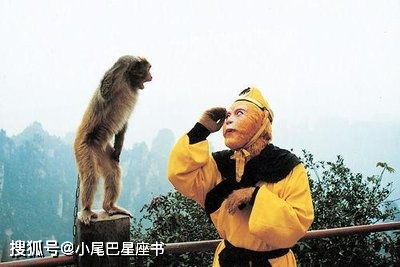 2004年是苦命猴还是富猴:2004年属猴人运势,苦命猴还是富猴?解码时代与个人的双重密码