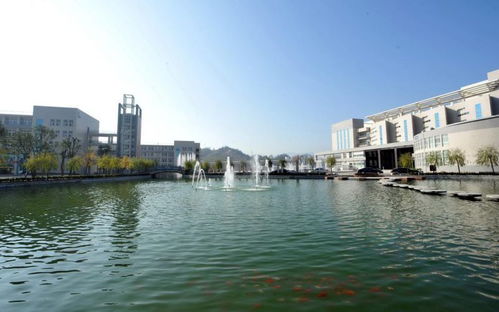 湖北工业职业技术学院(湖北工业职业技术学院地址)