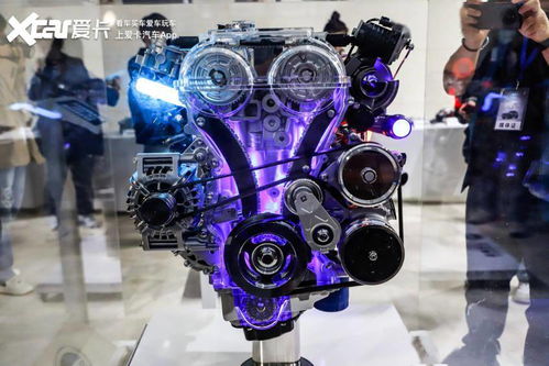 梦见拉粑粑拉的到处都是：为什么我会梦见拉粑粑拉的到处都是？解析梦境背后的潜意识密码