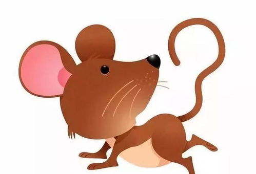 1996年几月鼠命苦：1996年鼠年各生肖运势解析，为何某些月份出生者命运多舛？