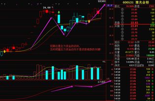 金属铅概念下跌1.70%，主力资金净流出28股