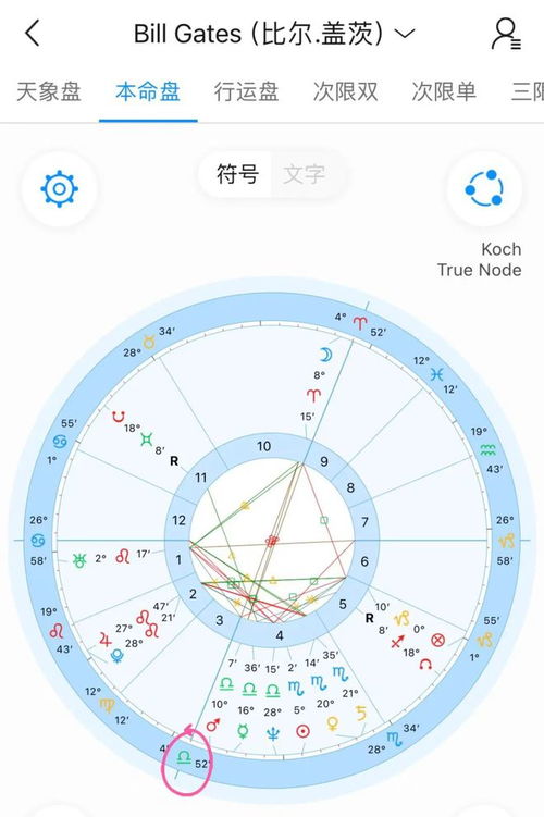 十二星座宫位查询表：十二星座宫位查询表，精准定位人生轨迹的占星学指南