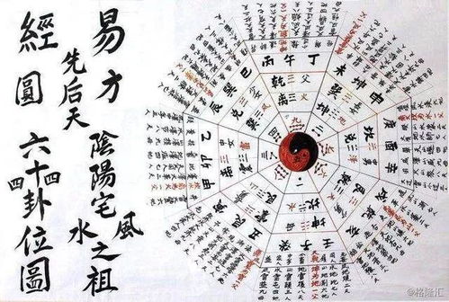 眼跳预测吉凶时辰911：眼跳预测吉凶，时辰911的千年玄机与科学解读