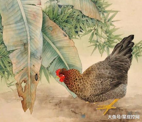 属鸡的过了43岁就顺了：属鸡人43岁后转运指南，天时地利人和的黄金期开启