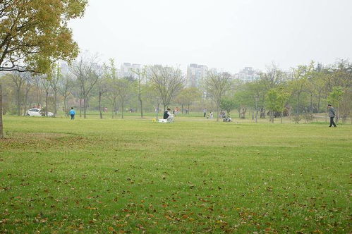 初中毕业读卫校哪个学校好（初中毕业去读卫校哪里好,男孩子）