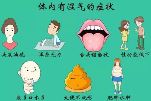 体内湿气重怎么调理:体内湿气重怎么调理?这些方法帮你轻松祛湿,焕发健康活力!