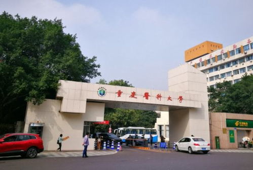 重庆市职业学校前十名（重庆市职业学校前十名土建类有哪些）