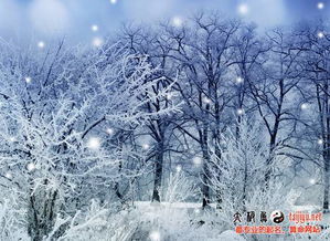 梦见下雪是什么预兆周公解梦:梦见下雪是什么预兆?周公解梦告诉你答案 梦见下雪是什么预兆周公解梦:梦见下雪是什么预兆?周公解梦告诉你答案
