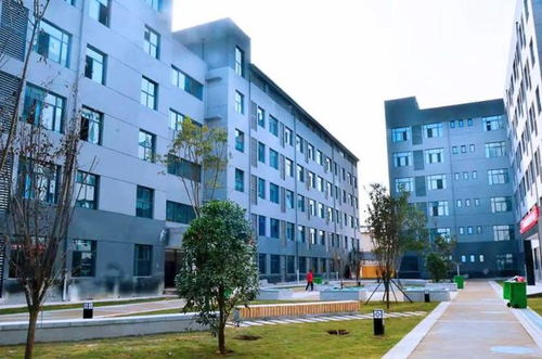 郑州卫生健康职业学院(郑州卫生健康职业学院专业有哪些)