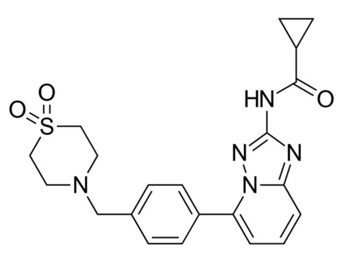 乙肝清热解毒片:乙肝患者的守护者,清热解毒片的科学认知与合理应用