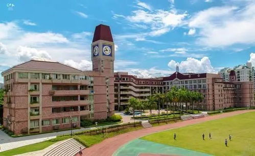 深圳职校排名前十名学校(深圳职校排名前十名学校高中)