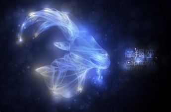 狮子座性格:狮子座,太阳的化身与人生的交响