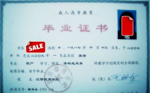 南京理工大学成人本科（南京理工大学成人本科学历有用吗）