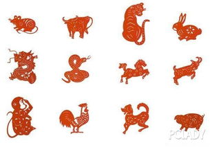 属鸡人2020年运势运程：属鸡人2020年运势全解析，吉星高照，顺势而为稳中求胜